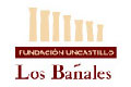 Los Bañales